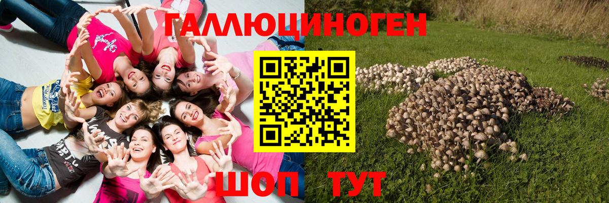 Псилоцибиновые грибы ЛСД  Вход с VPN  Галлюциногенные грибы Magic Shrooms  Белово 